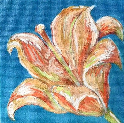'Lily'